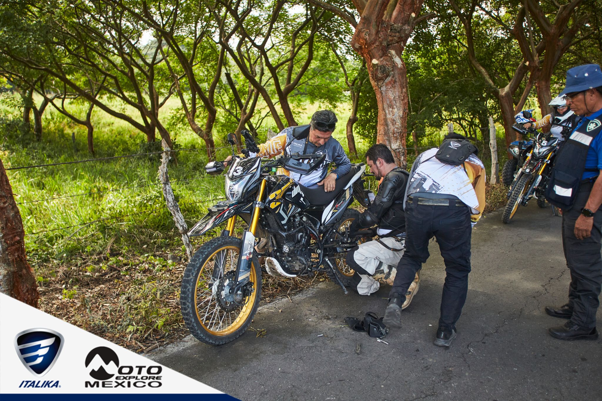 ITALIKA CHACHALACAS D1 236